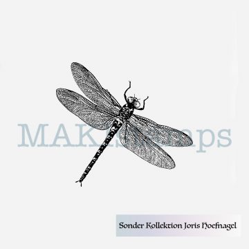 little dragon fly stamp MAKIstamps Hoefnagel collection